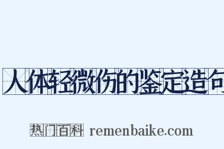 人体轻微伤的鉴定造句是什么意思的图片